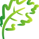 Landscape Concepts Management