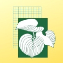 Landscape Images Ltd logo