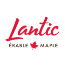 Lantic Maple