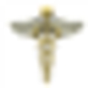 RG Stone Urology & Laparoscopy Hospital logo