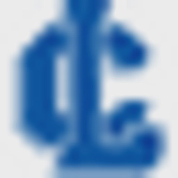 avatar logo