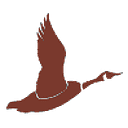 Bluhm County Park Endowment Fund logo