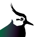 Lapwing Education logo