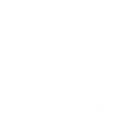 Lares Consulting logo