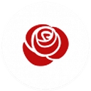 La Romantica Beds Ltd logo