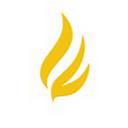 Larson Financial Foundation logo