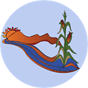New Mexico Acequia Association logo