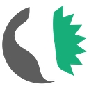 Lasercam Orthotics logo