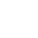 Laser Industries Inc. logo