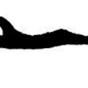 Lasticks Aerospace Inc logo
