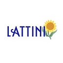 Favicon of Lattini