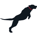 Favicon of Launching Labs Marketing