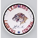 Laurens Central School logo