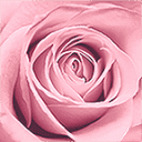 Boutique La Vie en Rose logo