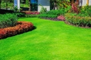 Gutshall Lawn & Landscape logo