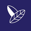 Lawns Of Dallas logo