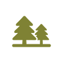 The Lazar Foundation logo