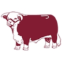 Logo for lazyjranchwear.com
