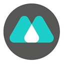 Lbm Fleet logo