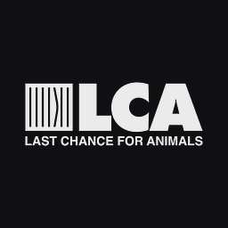Logo of lcanimal.org