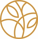 Lincoln Community Foundation logo