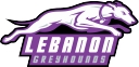Lebanon Community Unit School District #9 logo