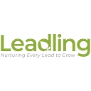 Why People Are Excited About Leadling
