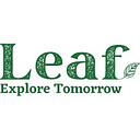 Leaf logo