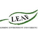 Leaf logo