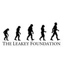 leakeyfoundation.org icon