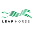 Leap Horse Limited logo
