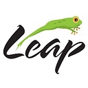 Seeley Test Pros / LEAP