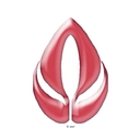 Learning Technics logo