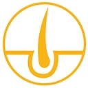 Learnskin logo