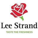 Lee Strand logo