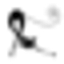 leiflight.de icon