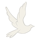 leightonmackinnon.com icon