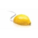 Lemon Computing Ltd. logo