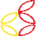 Lemon Cherry Limited logo
