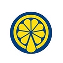 Lemondrainageservices logo