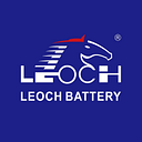 LEOCH INTERNATIONAL logo