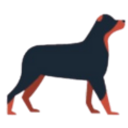 Leowon Whisperer logo