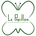 Le Papillon Inc