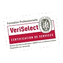 RESIDENCE LES LILAS logo