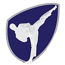 Level Up Taekwondo logo