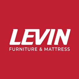 levinfurniture.com