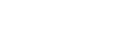 Lighthouse Healthcare Partners logo
