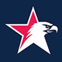 Dominion Voting Systems