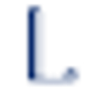 Lienemann Charitable Foundation Inc logo
