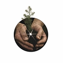 Life Christian Counseling Network logo